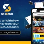 Sky Exchange Whatsapp number